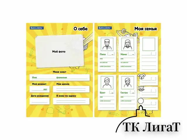 Папка-портфолио школьника, А4, на молнии, 8 вкладышей, обложка твёрдая, ОТЛИЧНИКИ, BRAUBERG, 115244