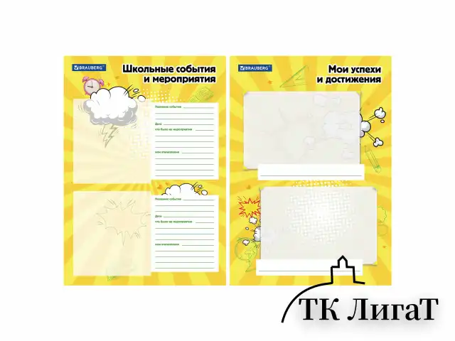 Папка-портфолио школьника, А4, на молнии, 8 вкладышей, обложка твёрдая, ОТЛИЧНИКИ, BRAUBERG, 115244