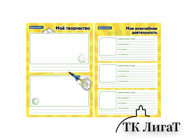 Папка-портфолио школьника, А4, на молнии, 8 вкладышей, обложка твёрдая, ОТЛИЧНИКИ, BRAUBERG, 115244