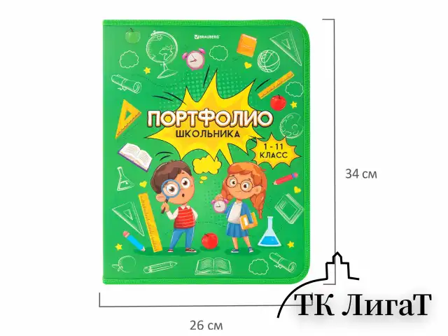 Папка-портфолио школьника, А4, на молнии, 8 вкладышей, обложка твёрдая, ОТЛИЧНИКИ, BRAUBERG, 115244