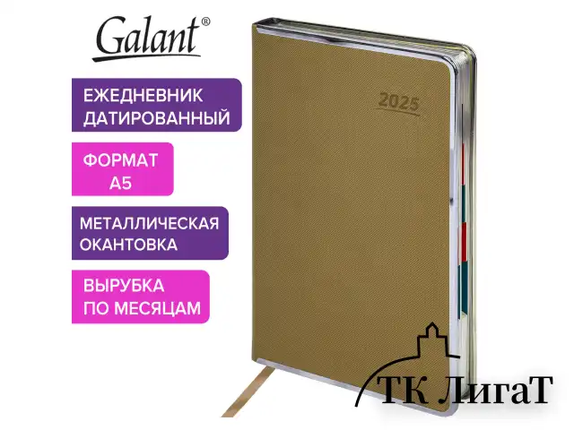 Ежедневник датированный 2025 А5 148х218 мм GALANT "Infinity Silver", под кожу, бежевый, 115725