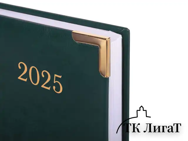 Ежедневник датированный 2025 А5 138x213 мм BRAUBERG "Senator", под кожу, зеленый, 115816