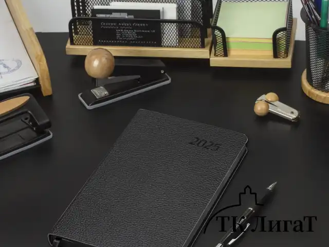 Ежедневник датированный 2025, А5, 138x213 мм, BRAUBERG "Stylish", под кожу гибкий, черный, 115820