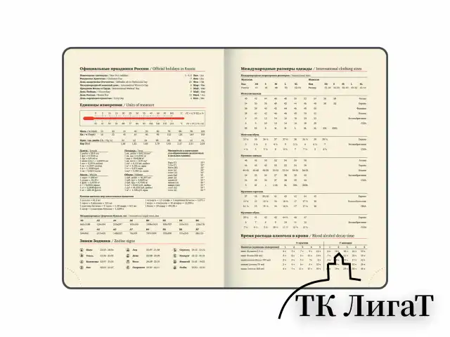 Ежедневник датированный 2025, А5, 143x218 мм, BRAUBERG "Journal", под кожу, застежка, органайзер, серый, 115881