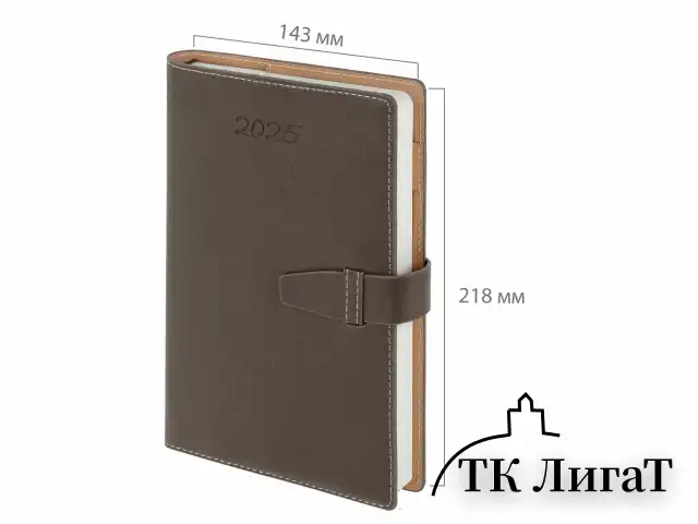 Ежедневник датированный 2025, А5, 143x218 мм, BRAUBERG "Journal", под кожу, застежка, органайзер, серый, 115881