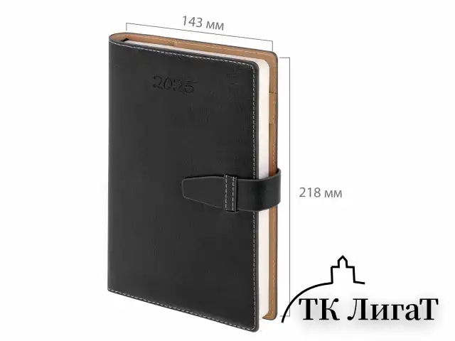 Ежедневник датированный 2025, А5, 143х218 мм, BRAUBERG "Journal", под кожу, застежка, органайзер, черный, 115882