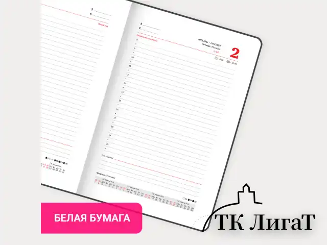 Ежедневник датированный 2025, А5, 138х213 мм, BRAUBERG "Pocket", под кожу, карман, держатель для ручки, коричневый, 115908