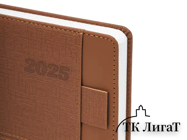 Ежедневник датированный 2025, А5, 138х213 мм, BRAUBERG "Pocket", под кожу, карман, держатель для ручки, коричневый, 115908
