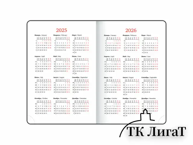 Ежедневник датированный 2025, А5, 138х213 мм, BRAUBERG "Plain", под кожу, резинка, держатель для ручки, темно-зеленый, 115917