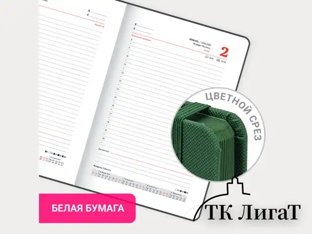 Ежедневник датированный 2025, А5, 138х213 мм, BRAUBERG "Plain", под кожу, резинка, держатель для ручки, темно-зеленый, 115917