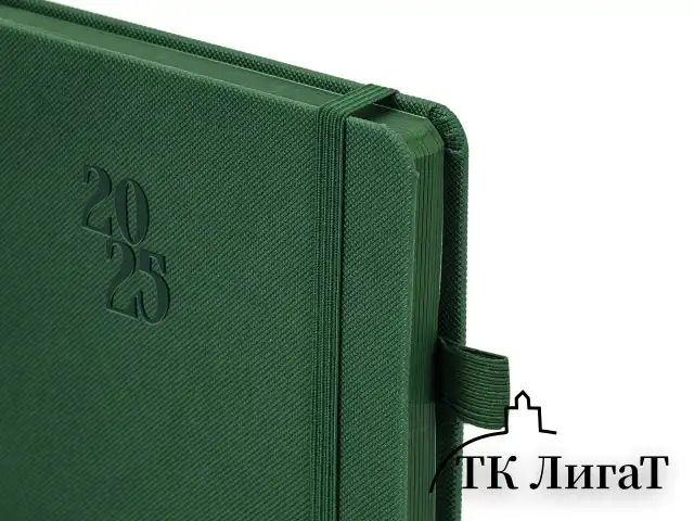 Ежедневник датированный 2025, А5, 138х213 мм, BRAUBERG "Plain", под кожу, резинка, держатель для ручки, темно-зеленый, 115917