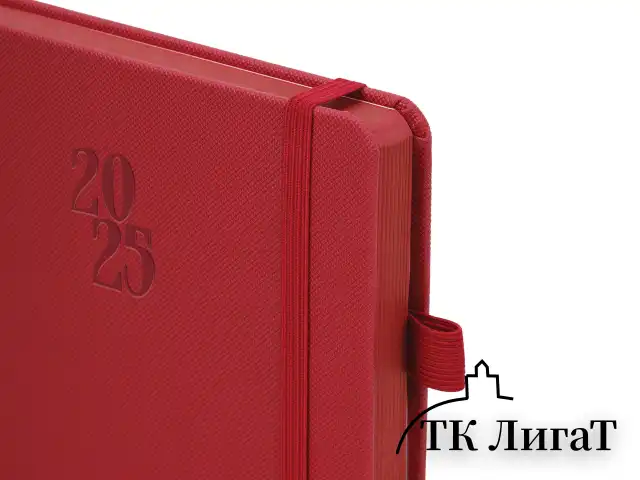 Ежедневник датированный 2025, А5, 138х213 мм, BRAUBERG "Plain", под кожу, резинка, держатель для ручки, красный, 115918
