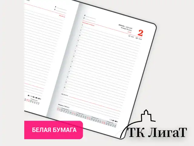 Ежедневник датированный 2025, А5, 138х213 мм, BRAUBERG "Esthetic", под кожу, держатель для ручки, застежка, красный/серый, 115925