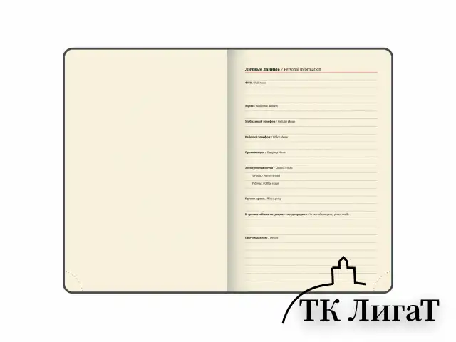 Ежедневник датированный 2025, А5, 151х213 мм, BRAUBERG "Note", под кожу, держатель для ручки, резинка-фиксатор, серо-голубой,115934