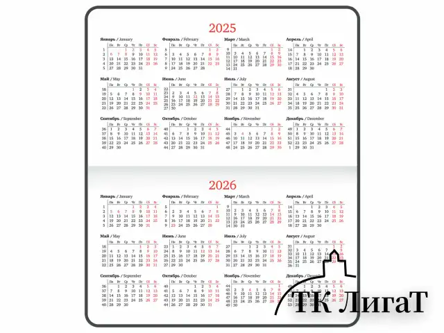 Еженедельник датированный 2025 МАЛЫЙ ФОРМАТ 95х155 мм А6, BRAUBERG "Select", балакрон, черный, 115983