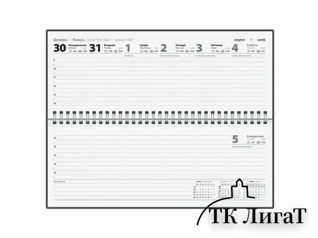 Планинг датированный 2025 285х112мм, STAFF, гребень, картонная обложка, 64л, Дизайн 3, 116051