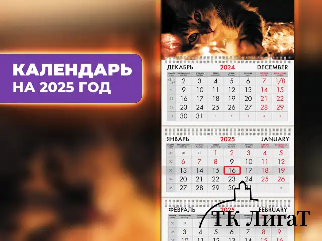 Календарь квартальный на 2025 г., 3 блока, 3 гребня, с бегунком, офсет, BRAUBERG, "Милый котик", 116099