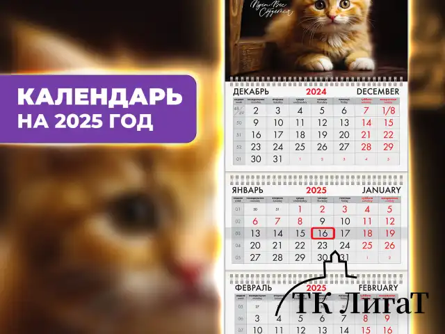 Календарь квартальный на 2025 г., 3 блока, 3 гребня, с бегунком, офсет, BRAUBERG, "Котенок", 116106