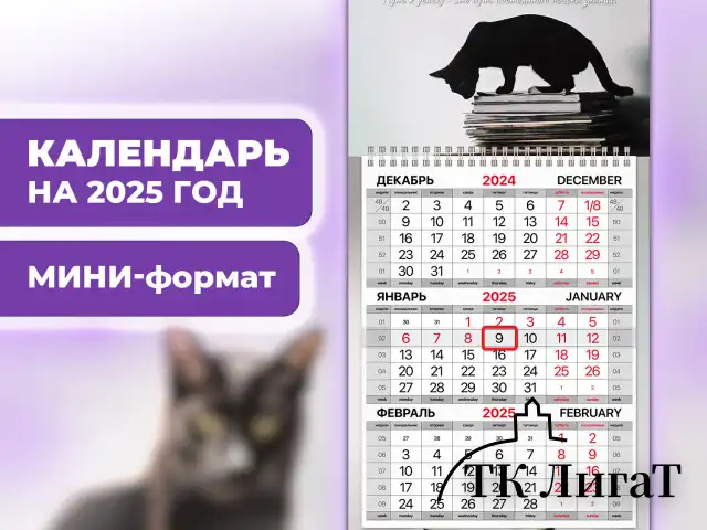 Календарь квартальный на 2025 г., 1 блок, 1 гребень, с бегунком, МИНИ, офсет, BRAUBERG, "Smart cat", 116123