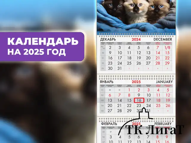 Календарь квартальный на 2025 г., 3 блока, 3 гребня, с бегунком, мелованная бумага, BRAUBERG, "Милые котики", 116138