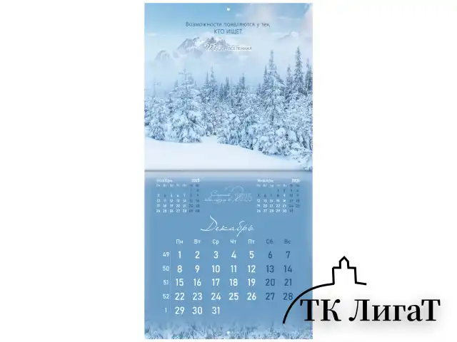 Календарь настенный перекидной на 2025 г., BRAUBERG, 12 листов, 29х29 см, "Твоя вселенная", 116160