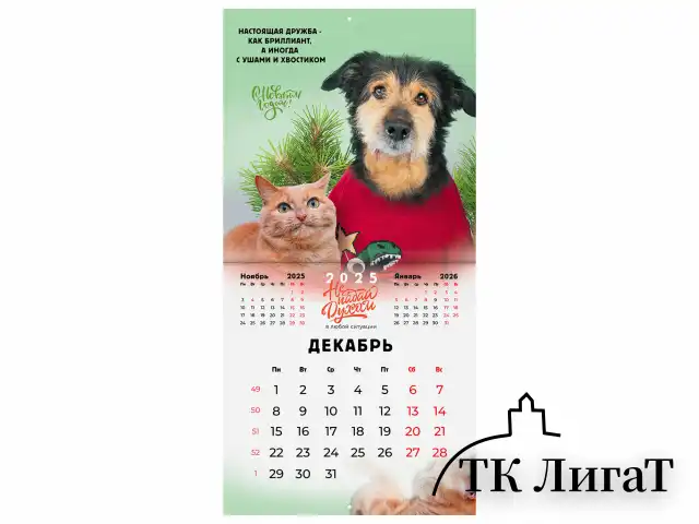 Календарь настенный перекидной на 2025 г., BRAUBERG, 12 листов, 29х29 см, "Не падай духом", 116163