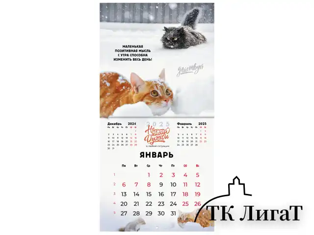 Календарь настенный перекидной на 2025 г., BRAUBERG, 12 листов, 29х29 см, "Не падай духом", 116163