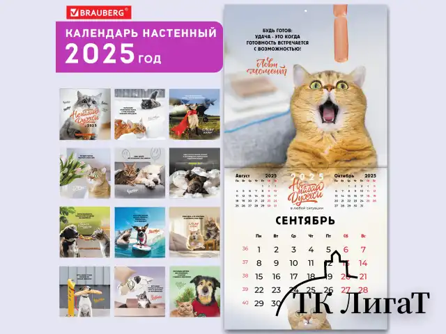 Календарь настенный перекидной на 2025 г., BRAUBERG, 12 листов, 29х29 см, "Не падай духом", 116163