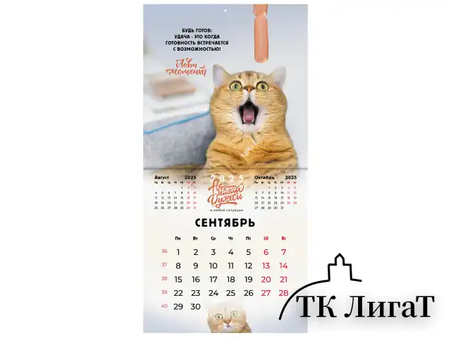 Календарь настенный перекидной на 2025 г., BRAUBERG, 12 листов, 29х29 см, "Не падай духом", 116163