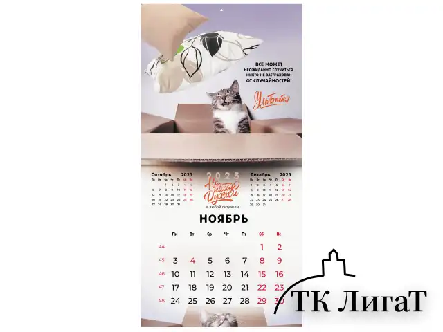 Календарь настенный перекидной на 2025 г., BRAUBERG, 12 листов, 29х29 см, "Не падай духом", 116163