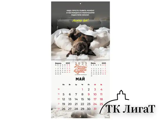 Календарь настенный перекидной на 2025 г., BRAUBERG, 12 листов, 29х29 см, "Не падай духом", 116163