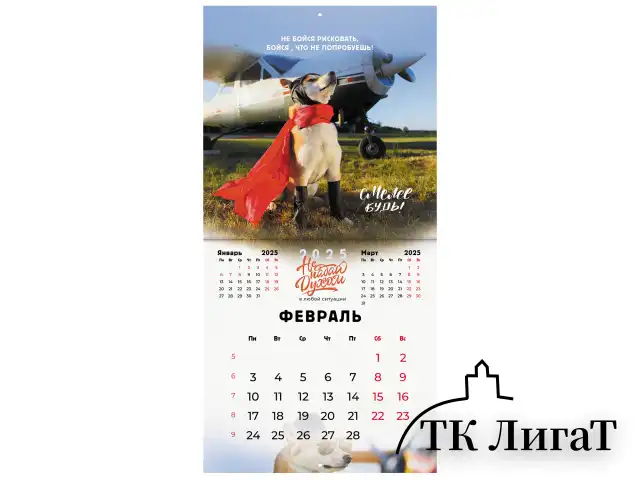 Календарь настенный перекидной на 2025 г., BRAUBERG, 12 листов, 29х29 см, "Не падай духом", 116163