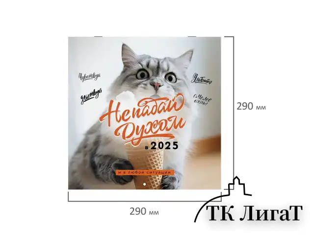 Календарь настенный перекидной на 2025 г., BRAUBERG, 12 листов, 29х29 см, "Не падай духом", 116163