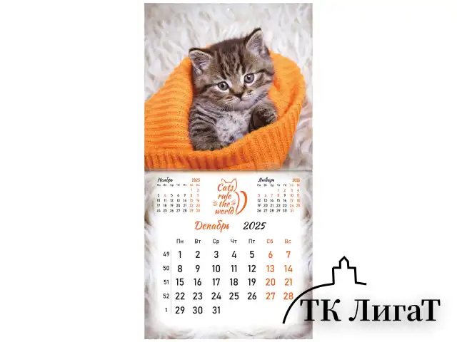 Календарь настенный перекидной на 2025 г., BRAUBERG, 12 листов, 29х29 см, "Милые котики", 116164