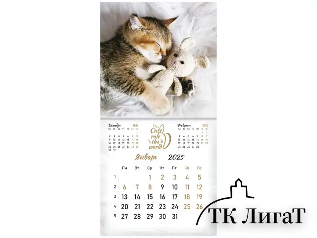 Календарь настенный перекидной на 2025 г., BRAUBERG, 12 листов, 29х29 см, "Милые котики", 116164