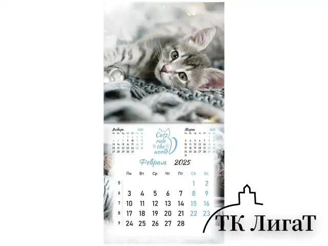 Календарь настенный перекидной на 2025 г., BRAUBERG, 12 листов, 29х29 см, "Милые котики", 116164