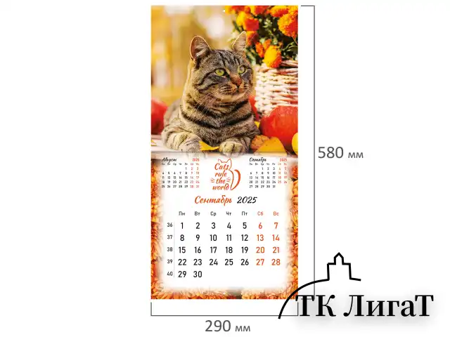 Календарь настенный перекидной на 2025 г., BRAUBERG, 12 листов, 29х29 см, "Милые котики", 116164