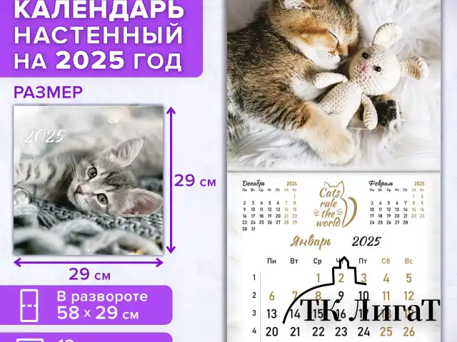 Календарь настенный перекидной на 2025 г., BRAUBERG, 12 листов, 29х29 см, "Милые котики", 116164