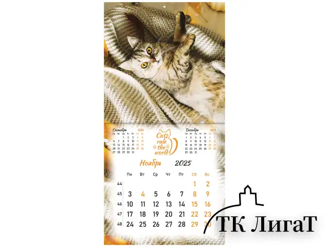 Календарь настенный перекидной на 2025 г., BRAUBERG, 12 листов, 29х29 см, "Милые котики", 116164