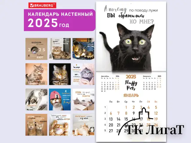 Календарь настенный перекидной на 2025 г., BRAUBERG, 12 листов, 29х29 см, "Смешные котики", 116165