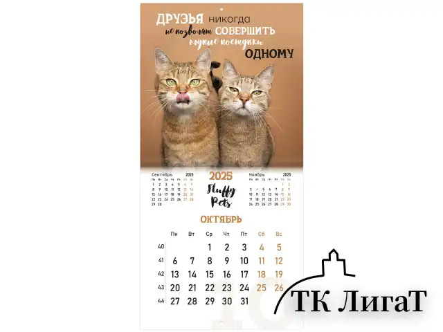 Календарь настенный перекидной на 2025 г., BRAUBERG, 12 листов, 29х29 см, "Смешные котики", 116165