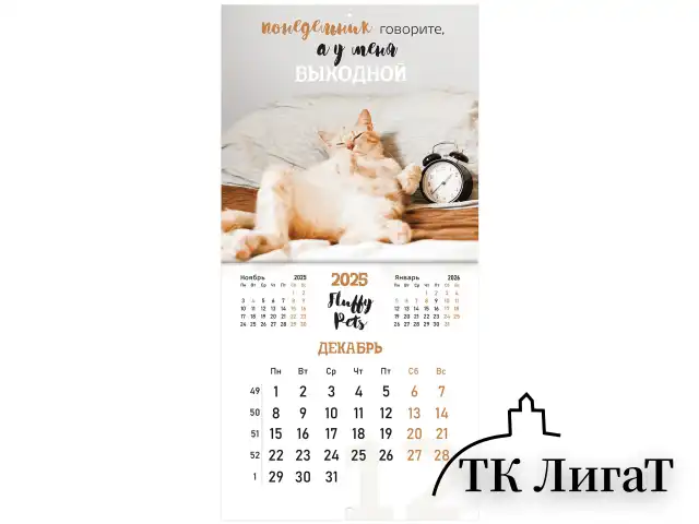 Календарь настенный перекидной на 2025 г., BRAUBERG, 12 листов, 29х29 см, "Смешные котики", 116165