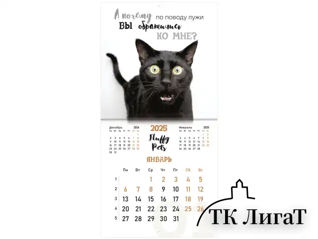 Календарь настенный перекидной на 2025 г., BRAUBERG, 12 листов, 29х29 см, "Смешные котики", 116165