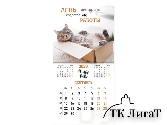 Календарь настенный перекидной на 2025 г., BRAUBERG, 12 листов, 29х29 см, "Смешные котики", 116165