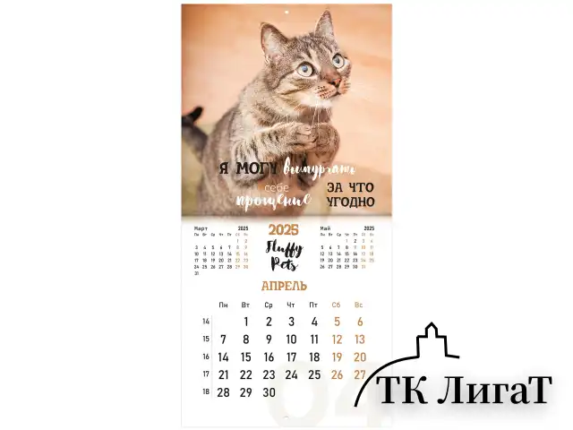 Календарь настенный перекидной на 2025 г., BRAUBERG, 12 листов, 29х29 см, "Смешные котики", 116165