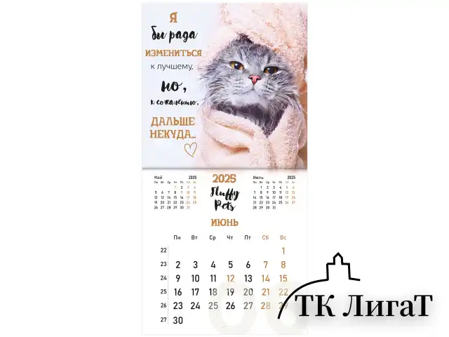 Календарь настенный перекидной на 2025 г., BRAUBERG, 12 листов, 29х29 см, "Смешные котики", 116165