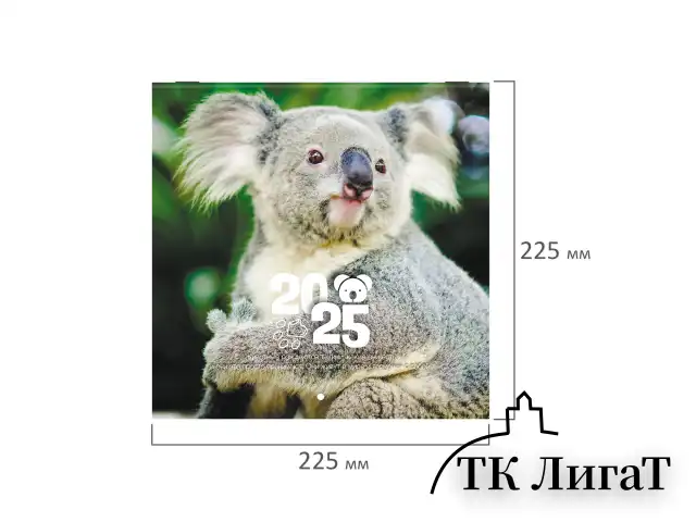 Календарь настенный перекидной на 2025 г., BRAUBERG, 12 листов, 22,5х22,5 см, МИНИ, "Дикие животные", 116179