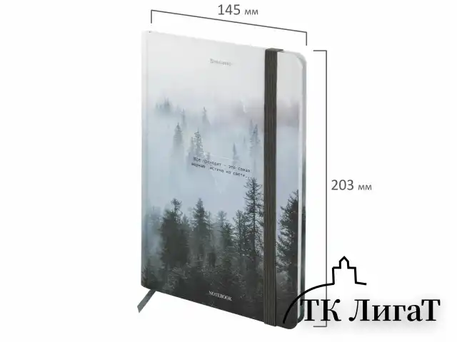 Блокнот с резинкой в клетку 96 л., А5 145х203 мм, твердая обложка, BRAUBERG, "Туман", 116315