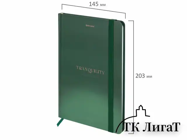 Блокнот с резинкой в клетку 96 л., А5 145х203 мм, твердая обложка, BRAUBERG, "Peaceful", 116326