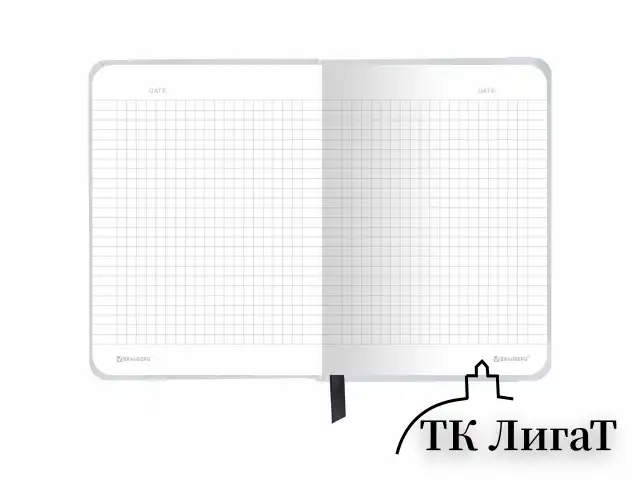 Блокнот с резинкой в клетку 96 л., МАЛЫЙ ФОРМАТ А6, 109х148 мм, твердая обложка, BRAUBERG, "Future", 116332